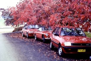 leura-autumn